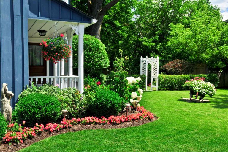 Low Maintenance Front Yard Landscaping Guide | USA